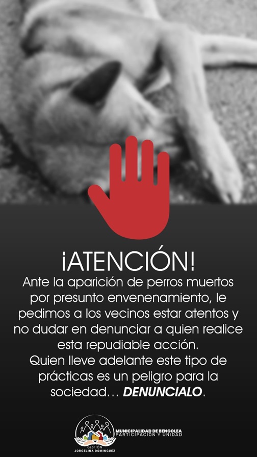 00 BENGOLEA veneno perros