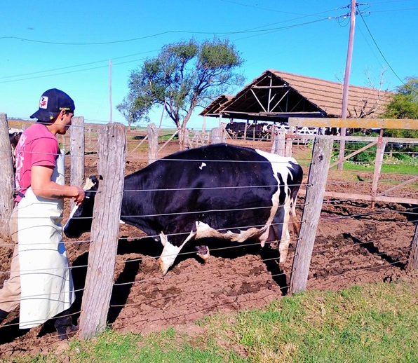 00 INTA inseminadores abril26 05