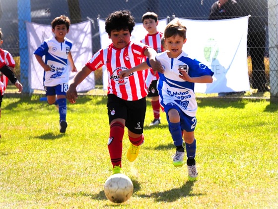 00 inf atenas newb 01