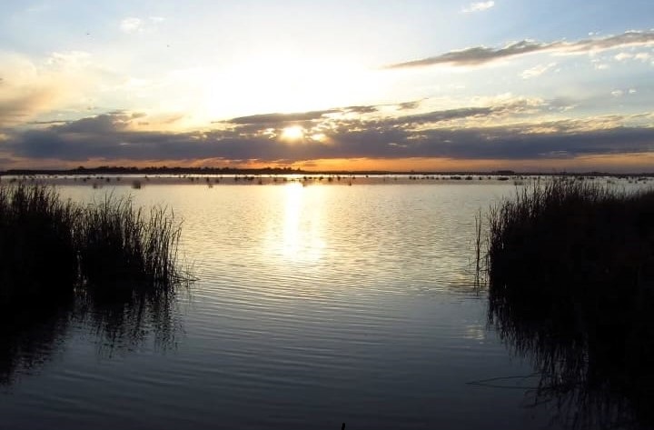 00 la felipa aves laguna