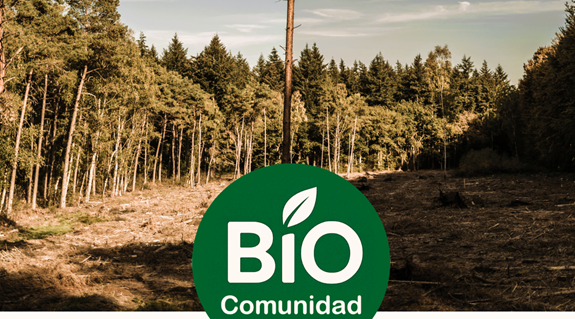 1a Bio informe