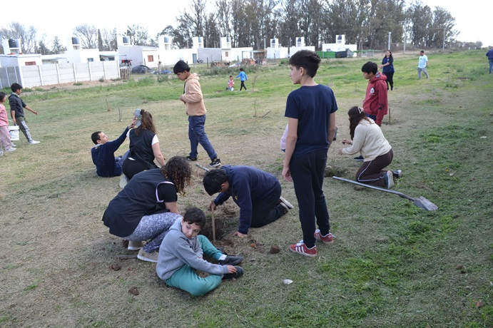 1a arbol 11 b