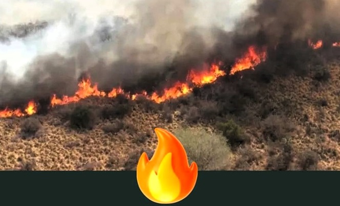 1a bp fuego 02