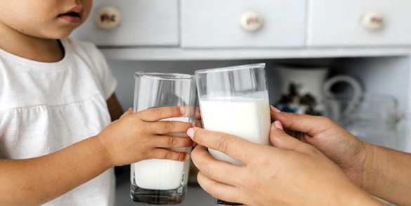 1a dia leche
