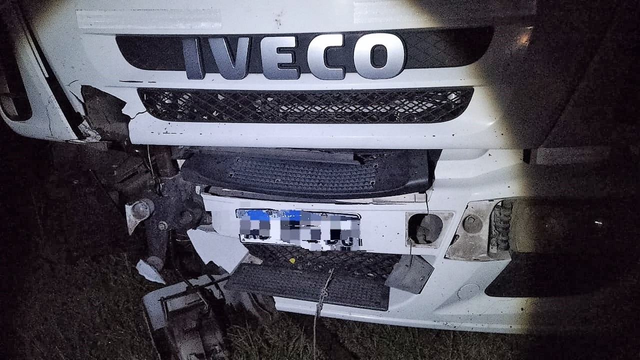 Camion contra equino