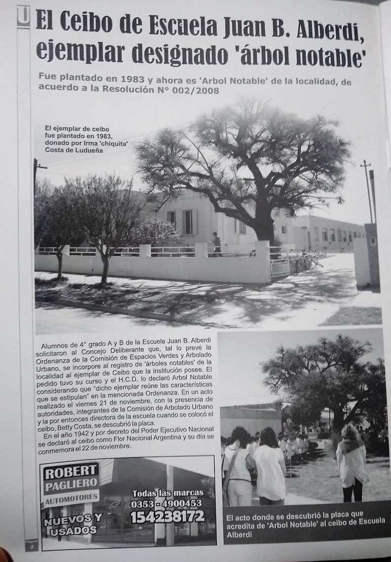 Ceibo escuela Alberdi arbol notable B