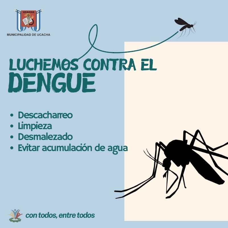 Dengue 01