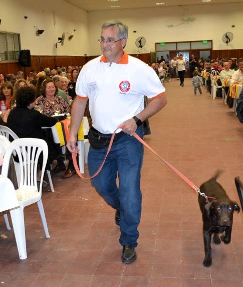 chazon bomberos perro